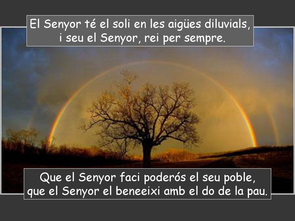 El Senyor té el soli en les aigües diluvials,
