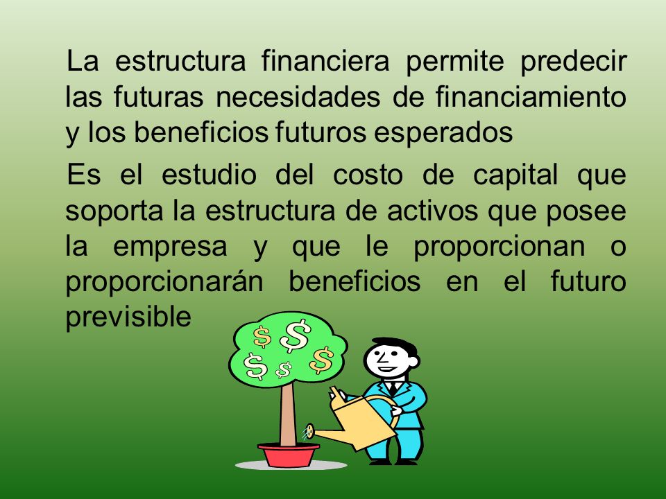 MARCO CONCEPTUAL La estructura financiera permite predecir las futuras necesidades de financiamiento y los beneficios futuros esperados.