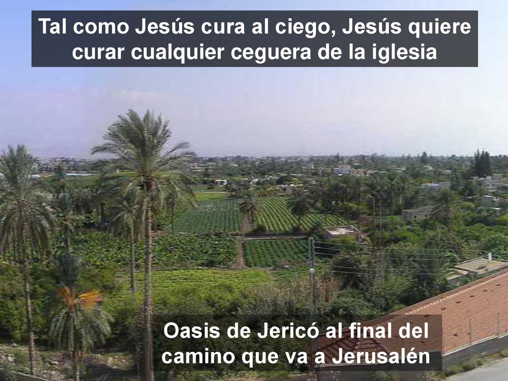 Oasis de Jericó al final del camino que va a Jerusalén