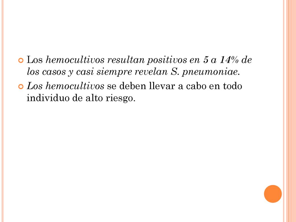 Los hemocultivos resultan positivos en 5 a 14% de los casos y casi siempre revelan S. pneumoniae.