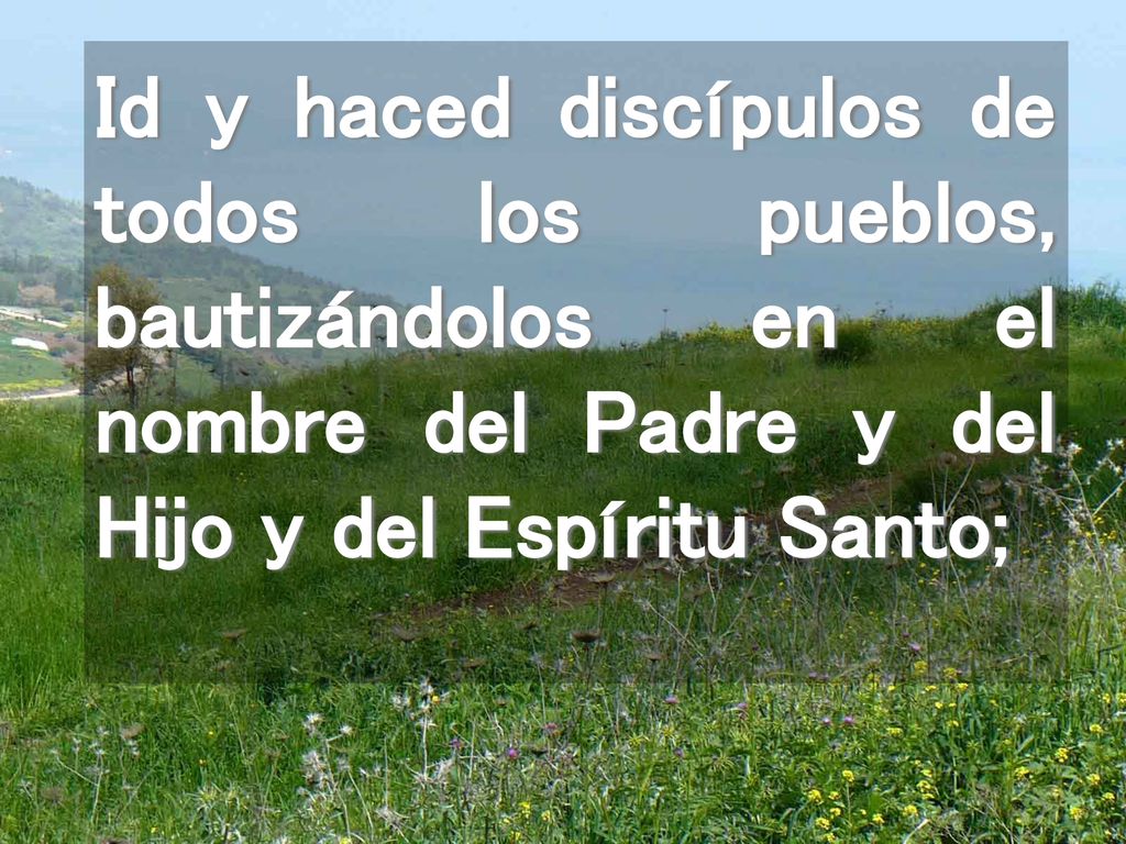 Id y haced discípulos de todos los pueblos, bautizándolos en el nombre del Padre y del Hijo y del Espíritu Santo;
