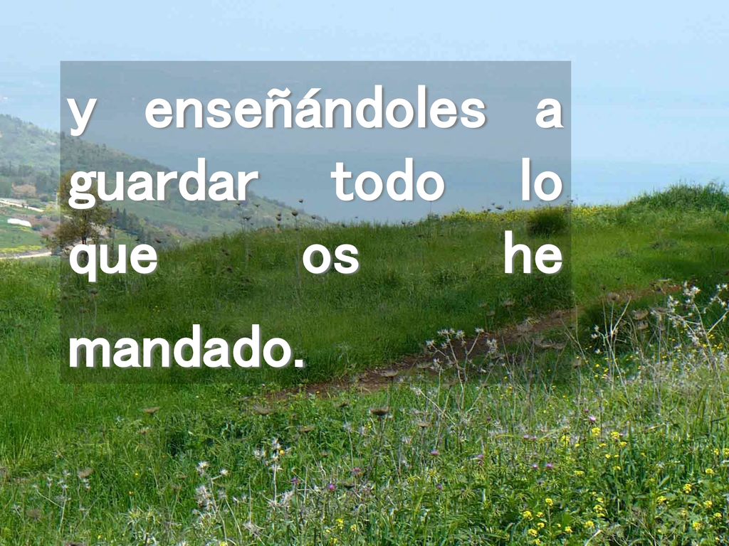 y enseñándoles a guardar todo lo que os he mandado.