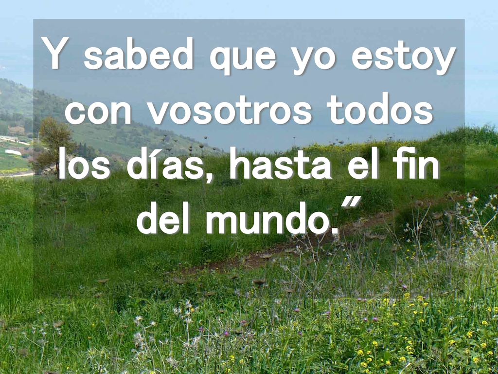 Y sabed que yo estoy con vosotros todos los días, hasta el fin del mundo.