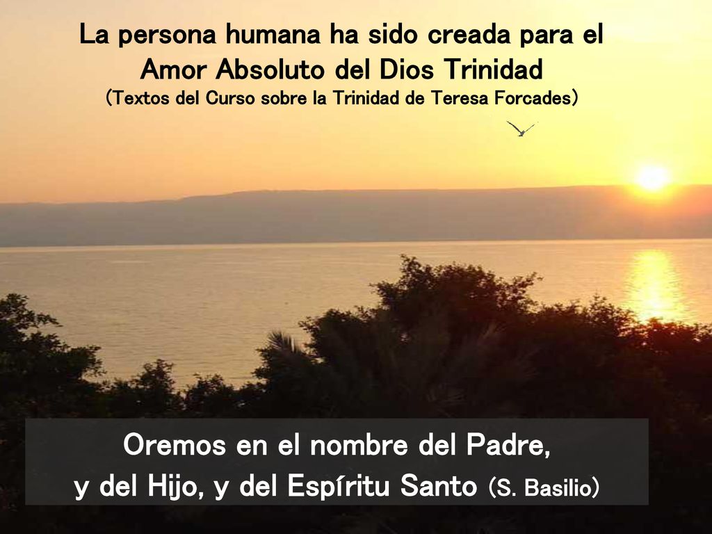 La persona humana ha sido creada para el Amor Absoluto del Dios Trinidad (Textos del Curso sobre la Trinidad de Teresa Forcades)