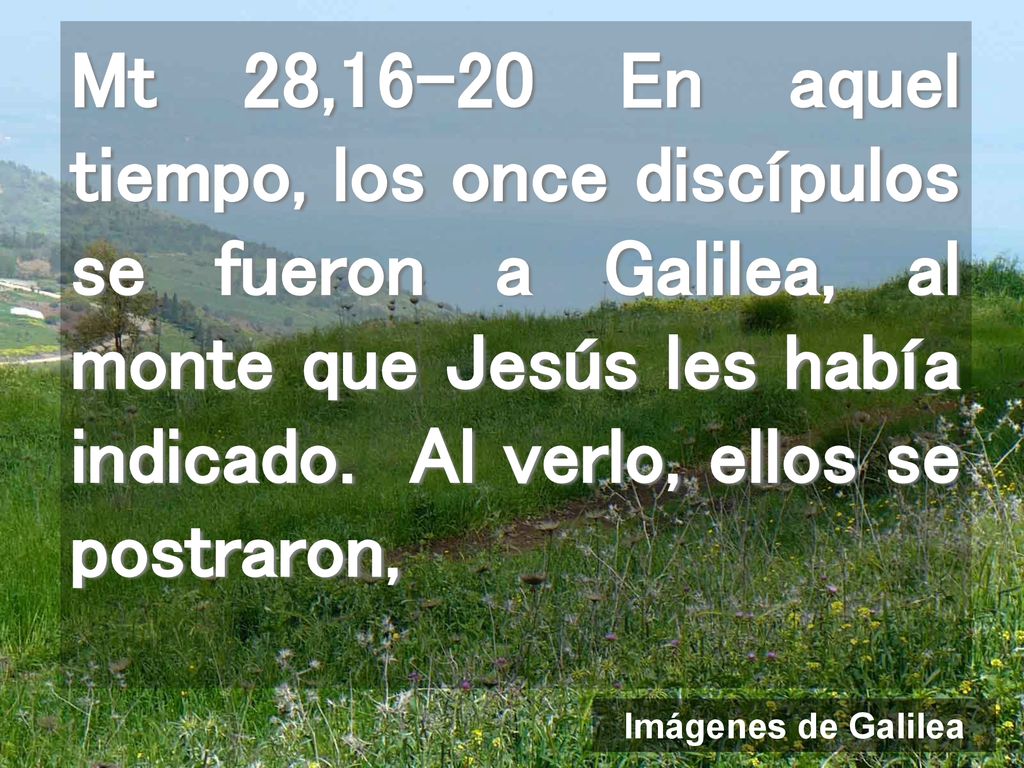 Mt 28,16-20 En aquel tiempo, los once discípulos se fueron a Galilea, al monte que Jesús les había indicado. Al verlo, ellos se postraron,