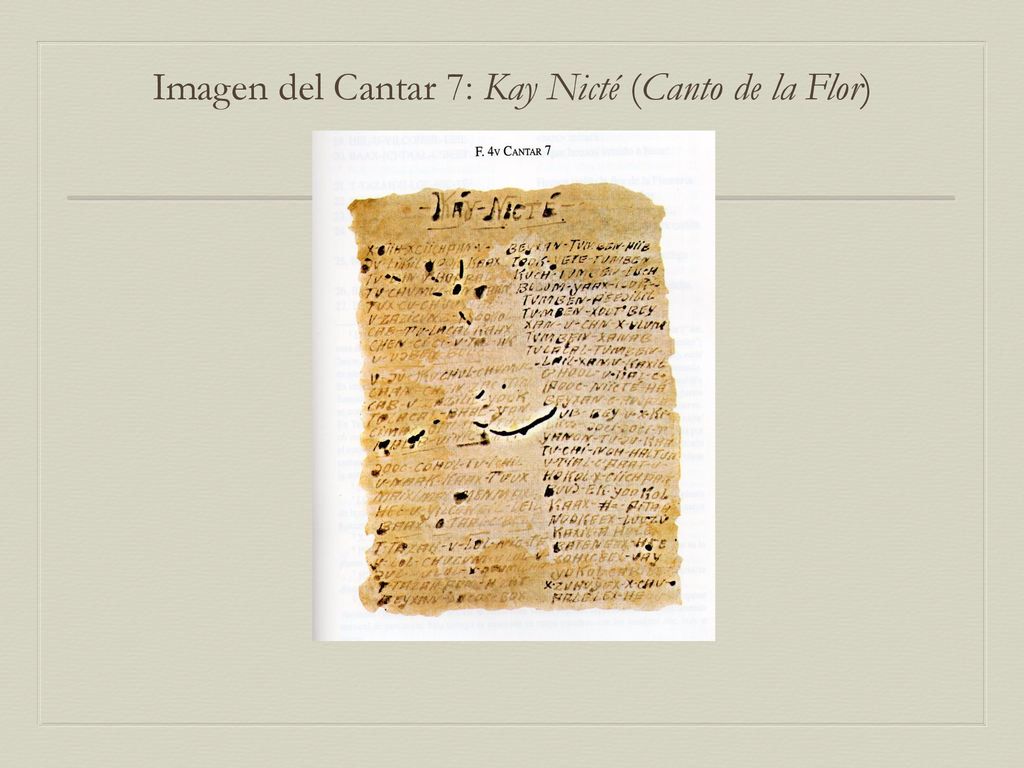 Imagen del Cantar 7: Kay Nicté (Canto de la Flor)