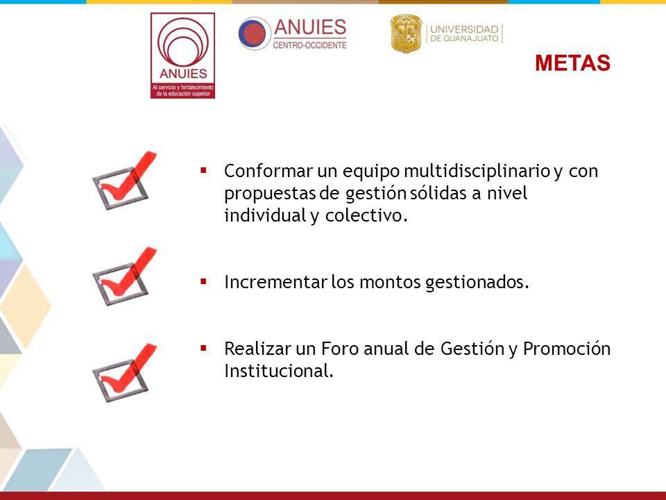METAS Conformar un equipo multidisciplinario y con propuestas de gestión sólidas a nivel individual y colectivo.