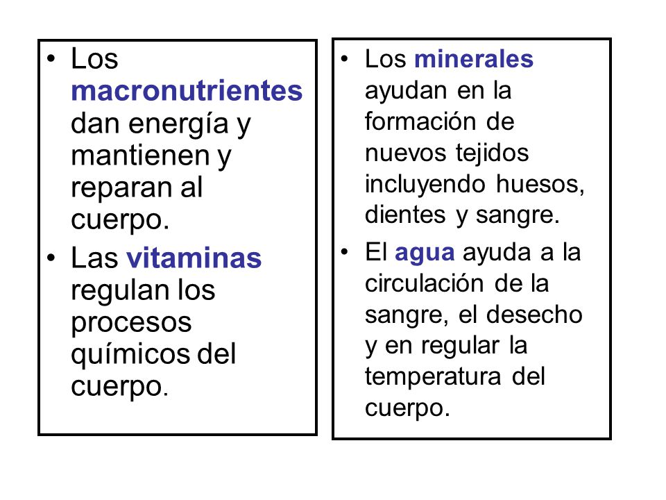 Los macronutrientes dan energía y mantienen y reparan al cuerpo.