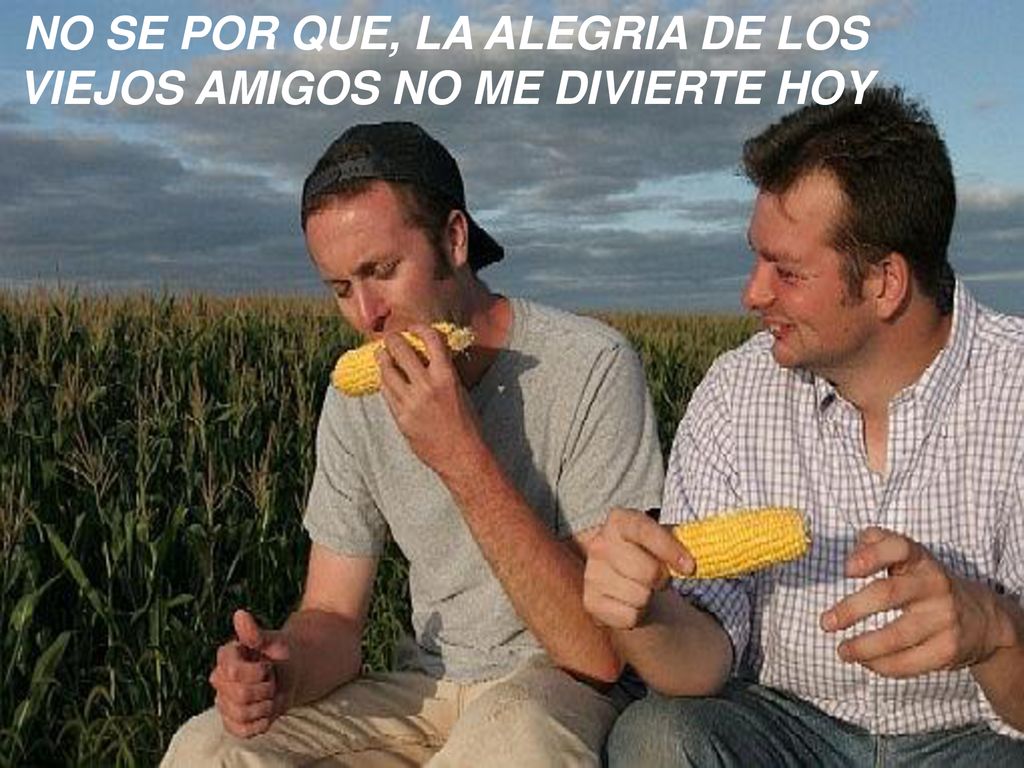 NO SE POR QUE, LA ALEGRIA DE LOS VIEJOS AMIGOS NO ME DIVIERTE HOY