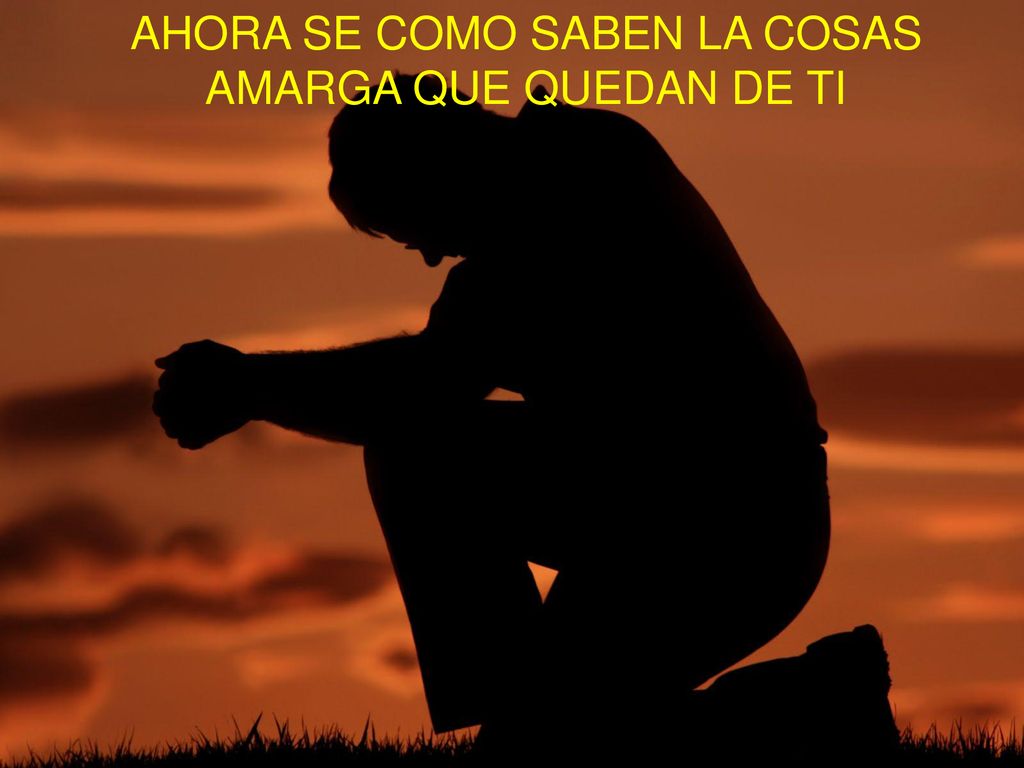 AHORA SE COMO SABEN LA COSAS AMARGA QUE QUEDAN DE TI