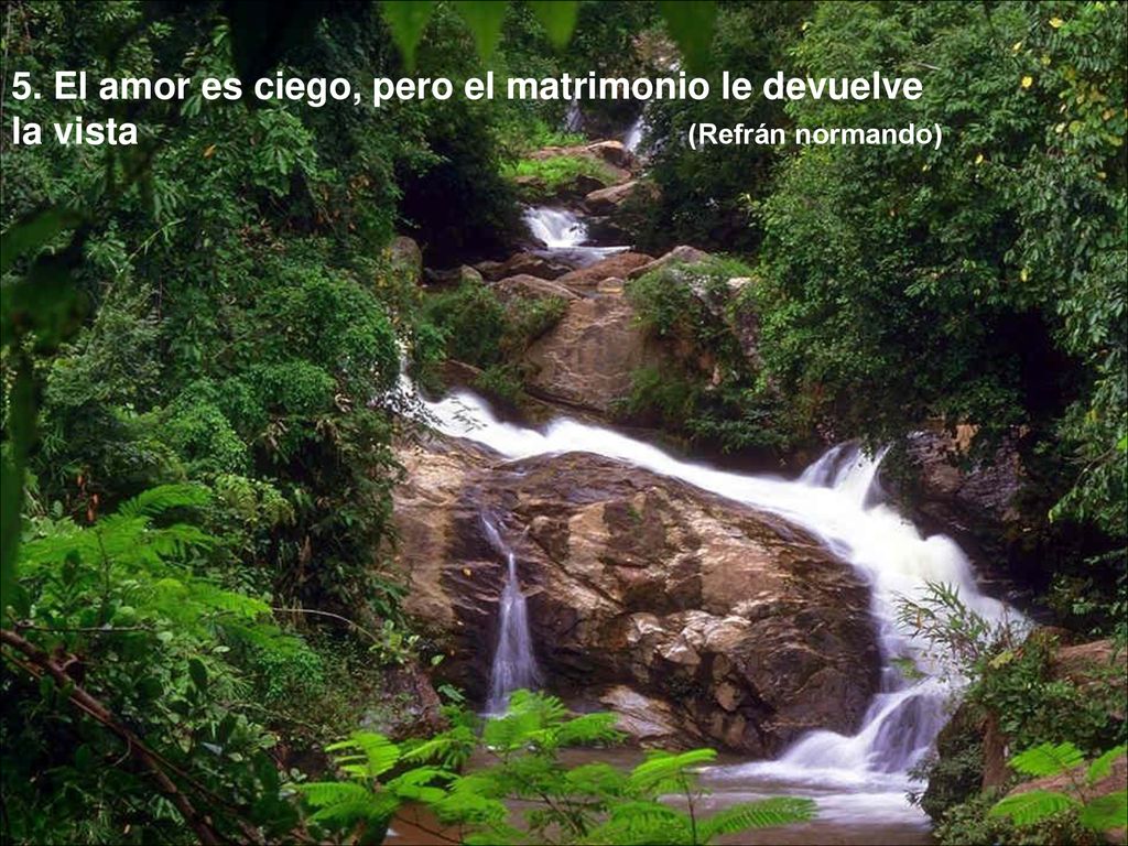 5. El amor es ciego, pero el matrimonio le devuelve