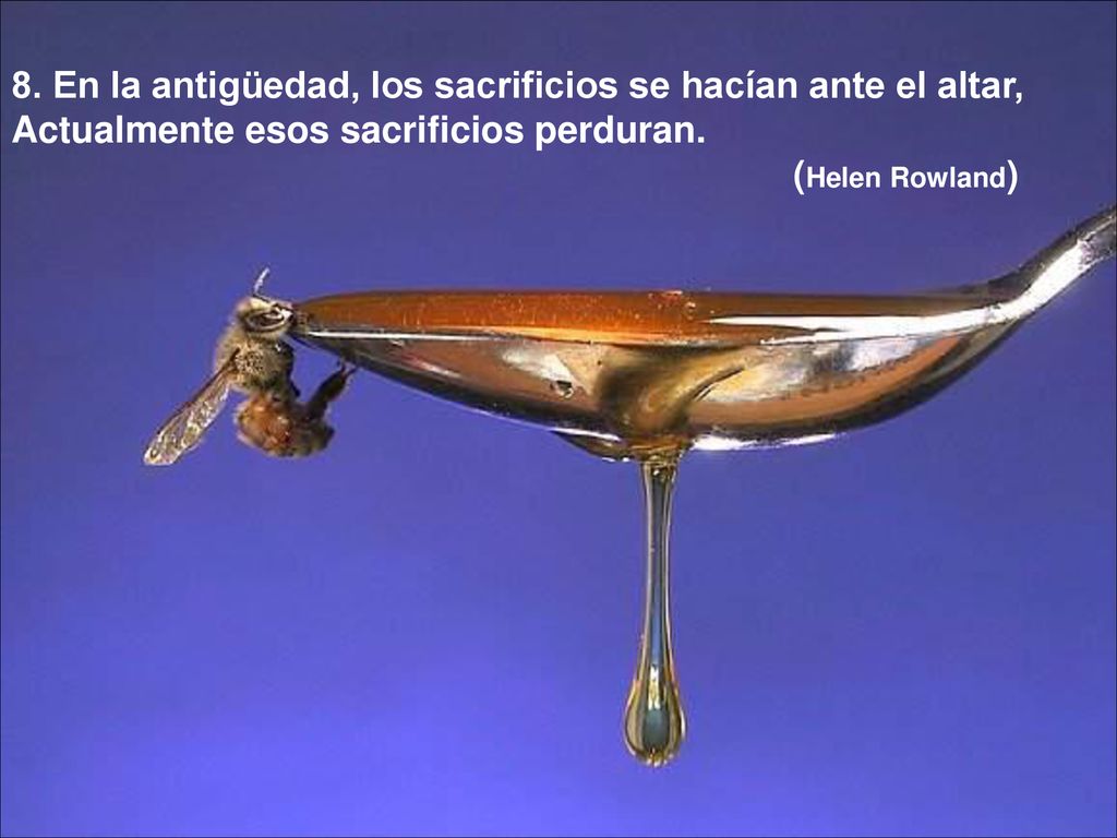 8. En la antigüedad, los sacrificios se hacían ante el altar,