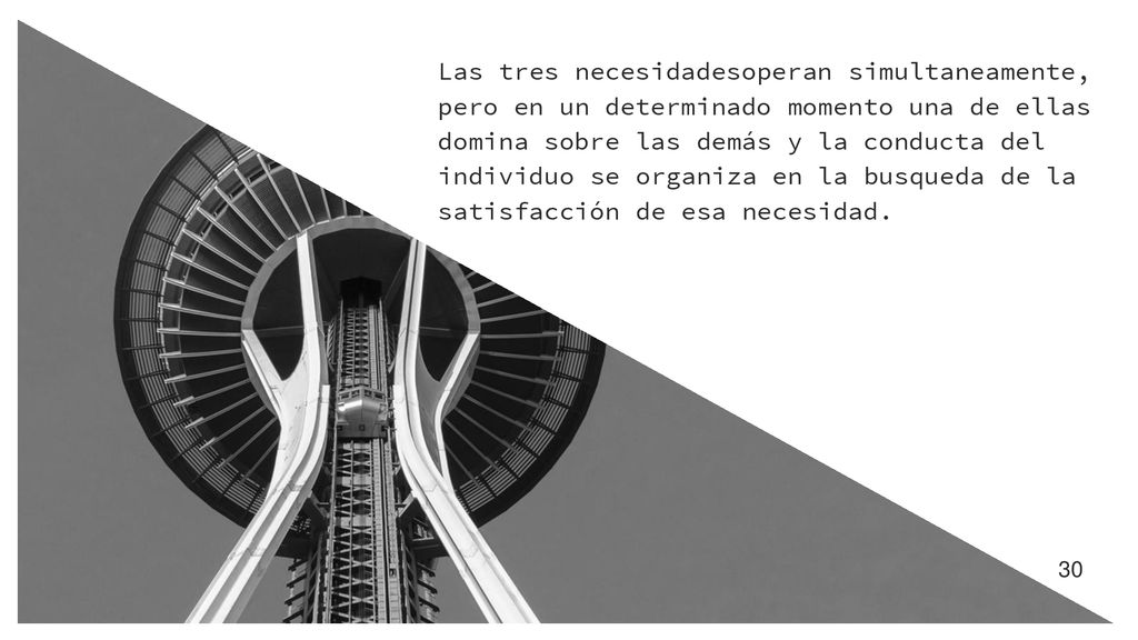 Las tres necesidadesoperan simultaneamente, pero en un determinado momento una de ellas domina sobre las demás y la conducta del individuo se organiza en la busqueda de la satisfacción de esa necesidad.