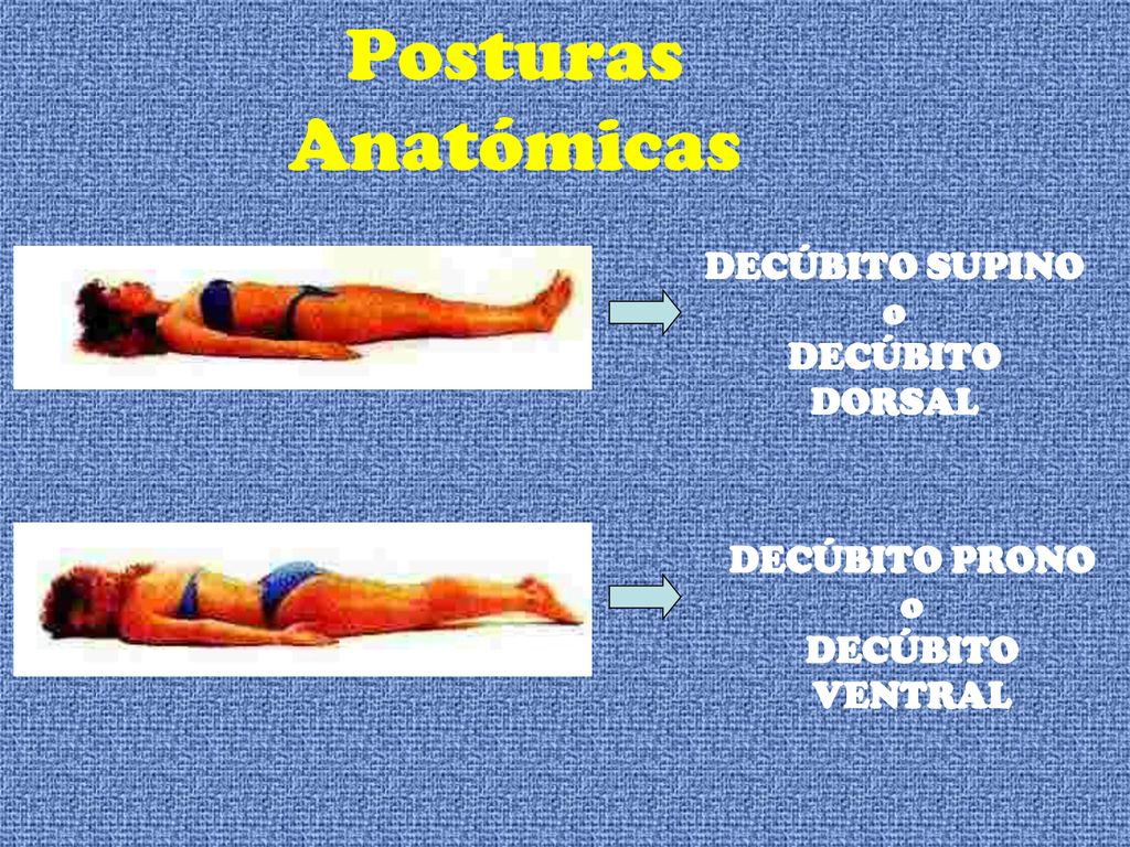 Posturas Anatómicas DECÚBITO SUPINO o DECÚBITO DORSAL DECÚBITO PRONO o