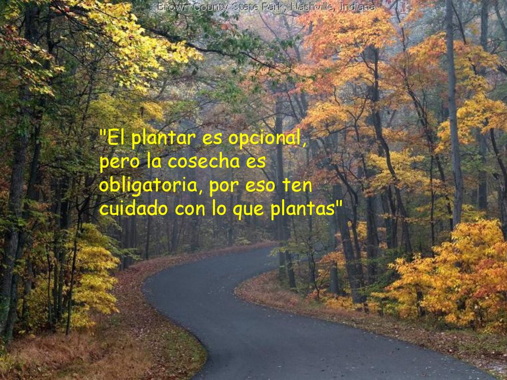 El plantar es opcional, pero la cosecha es obligatoria, por eso ten cuidado con lo que plantas
