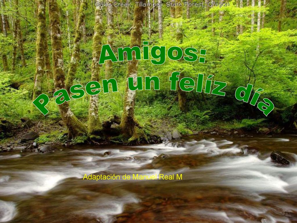 Amigos: Pasen un felíz día Adaptación de Manuel Real M