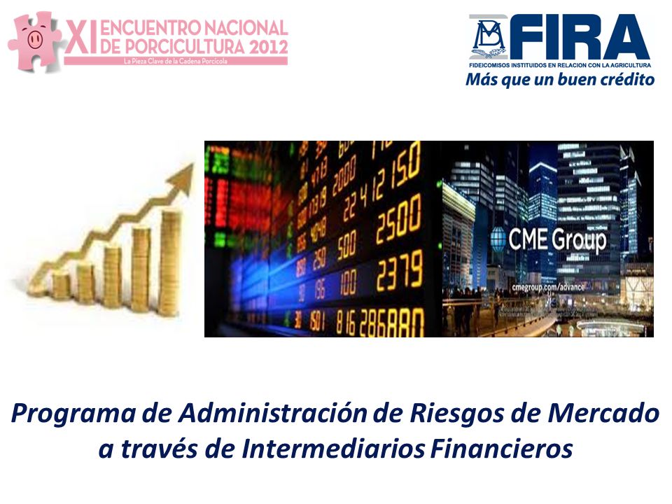 Programa de Administración de Riesgos de Mercado a través de Intermediarios Financieros