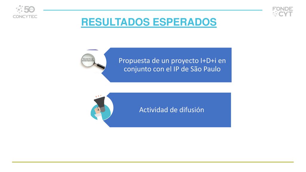 Propuesta de un proyecto I+D+i en conjunto con el IP de São Paulo