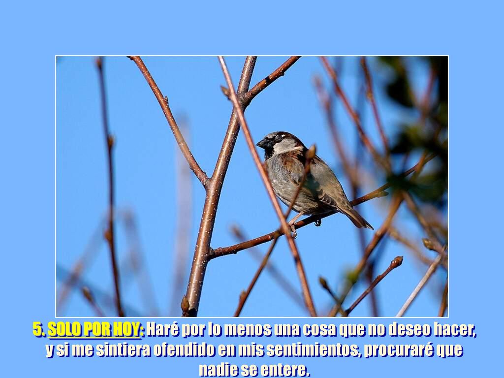 5. SOLO POR HOY: Haré por lo menos una cosa que no deseo hacer, y si me sintiera ofendido en mis sentimientos, procuraré que nadie se entere.