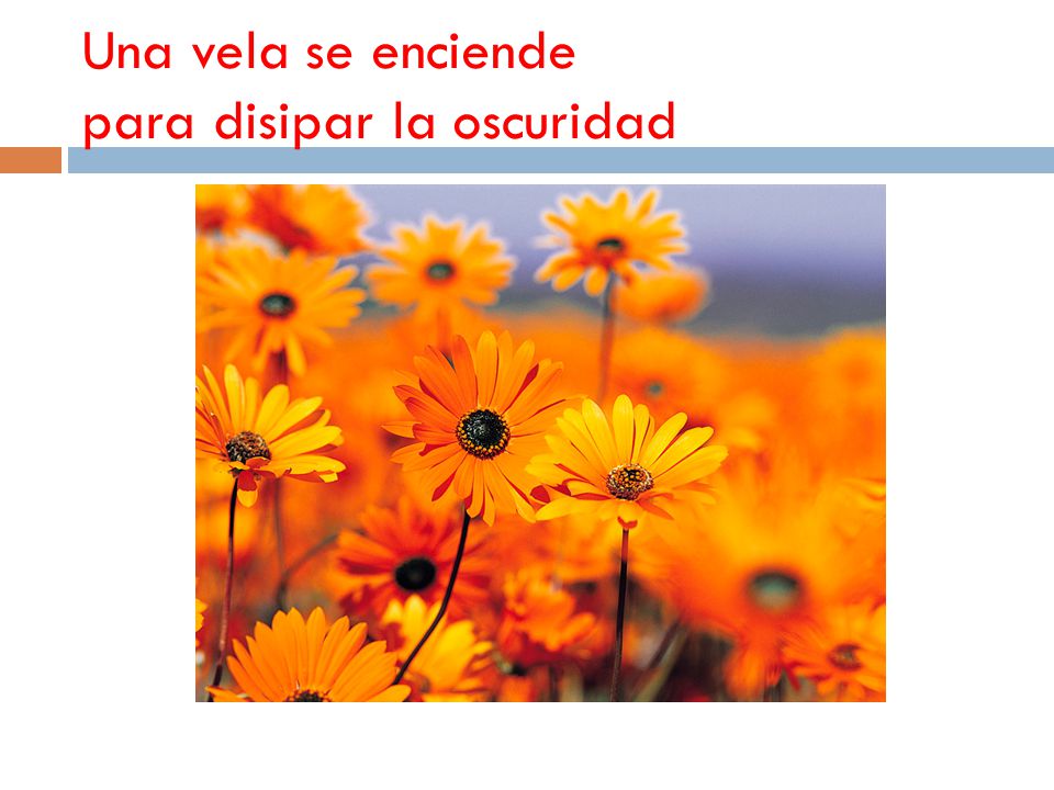 Una vela se enciende para disipar la oscuridad