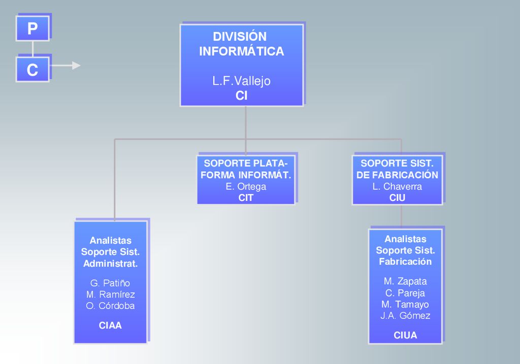CI P P C C DIVISIÓN INFORMÁTICA L.F.Vallejo CI CI SOPORTE PLATA-