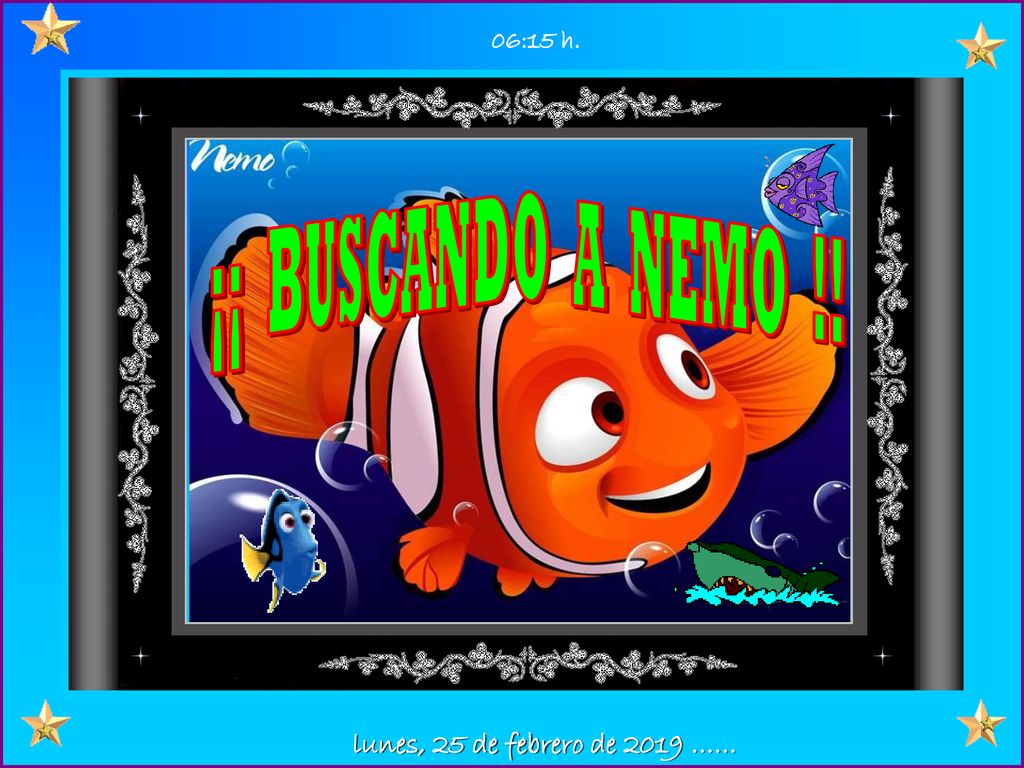 06:15 h. ¡¡ BUSCANDO A NEMO !! lunes, 25 de febrero de 2019 ……