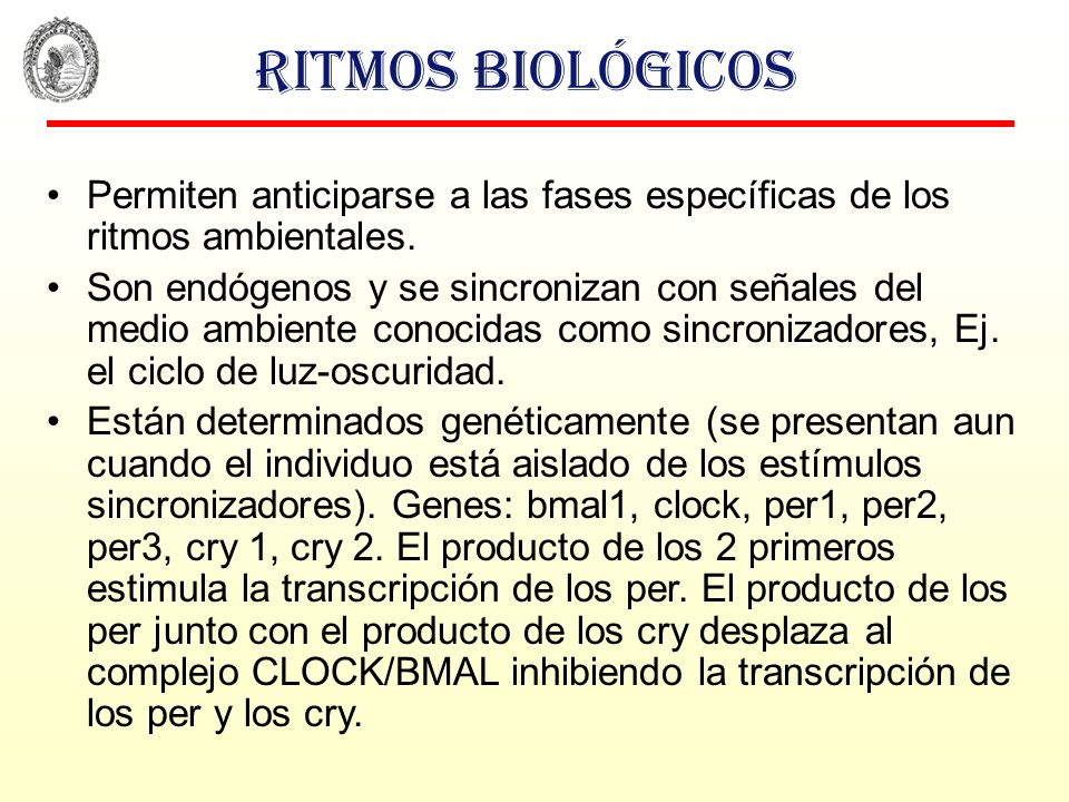Ritmos biológicos Permiten anticiparse a las fases específicas de los ritmos ambientales.