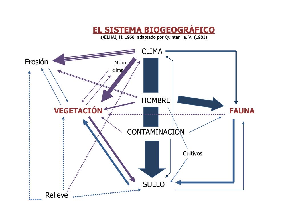 EL SISTEMA BIOGEOGRÁFICO s/ELHAI, H. 1968, adaptado por Quintanilla, V