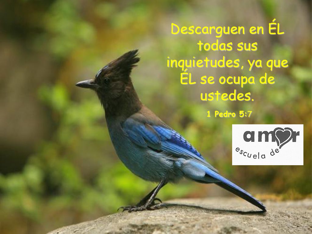 Descarguen en ÉL todas sus inquietudes, ya que ÉL se ocupa de ustedes
