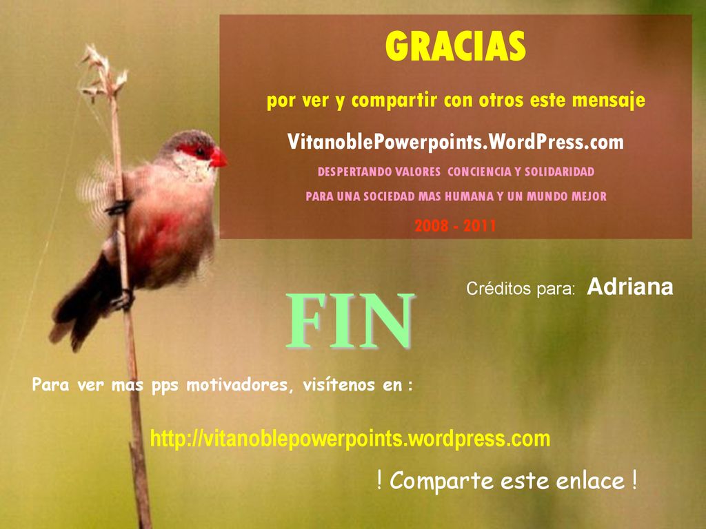 FIN GRACIAS por ver y compartir con otros este mensaje