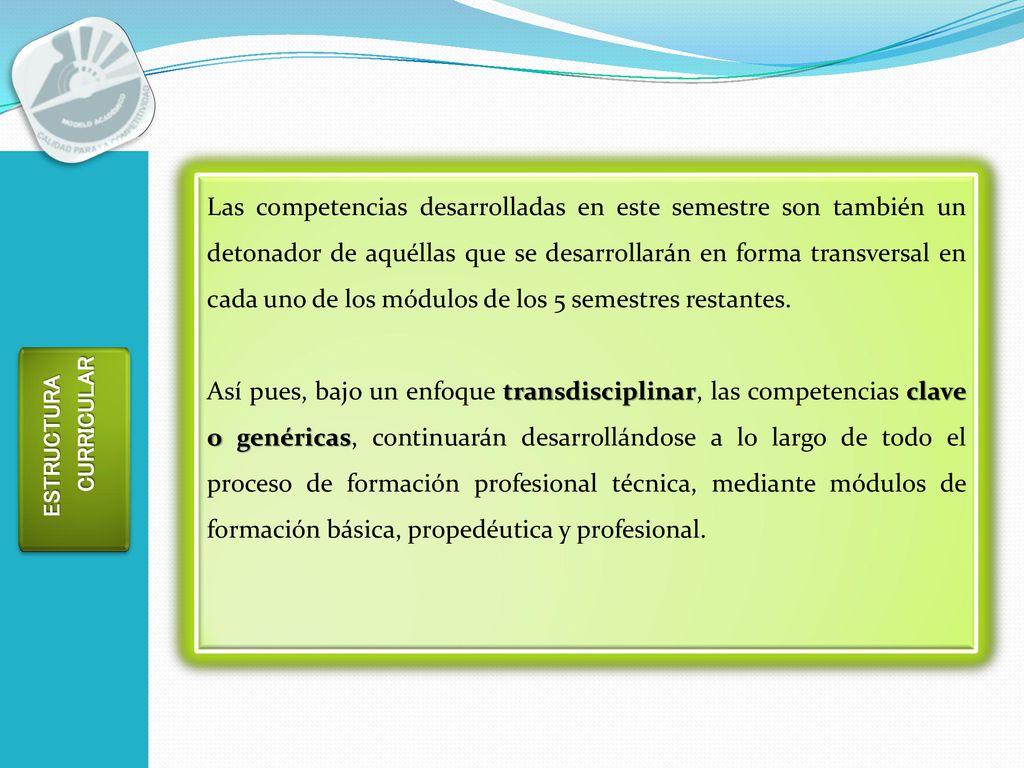 Las competencias desarrolladas en este semestre son también un detonador de aquéllas que se desarrollarán en forma transversal en cada uno de los módulos de los 5 semestres restantes.