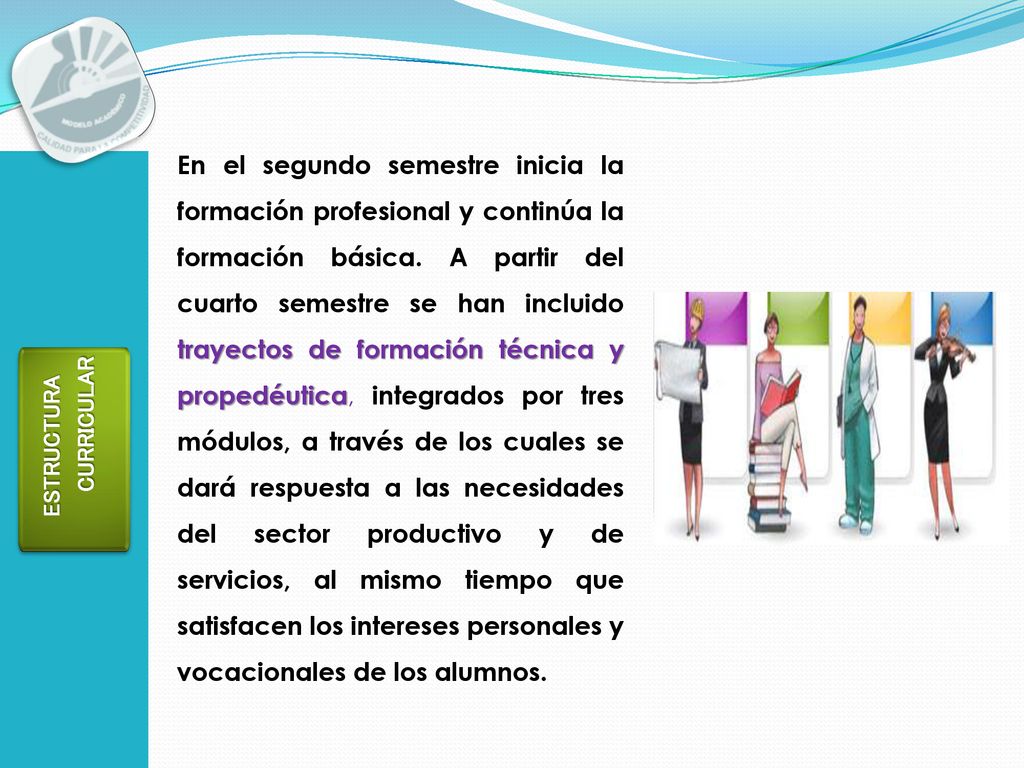 En el segundo semestre inicia la formación profesional y continúa la formación básica. A partir del cuarto semestre se han incluido trayectos de formación técnica y propedéutica, integrados por tres módulos, a través de los cuales se dará respuesta a las necesidades del sector productivo y de servicios, al mismo tiempo que satisfacen los intereses personales y vocacionales de los alumnos.