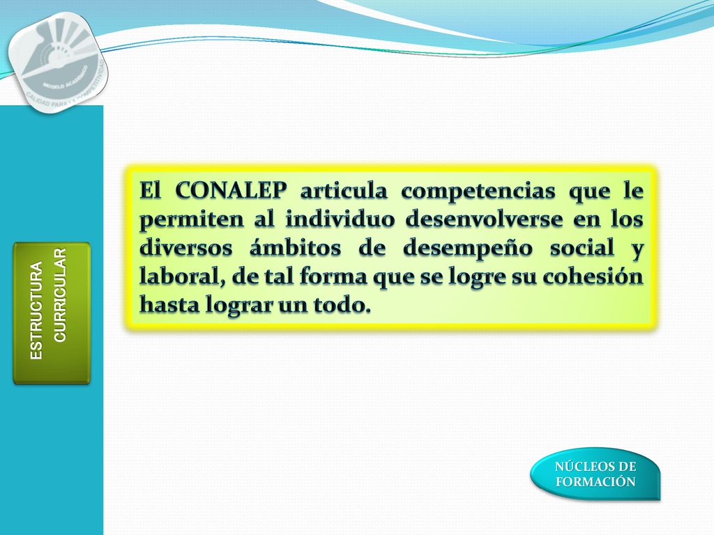 El CONALEP articula competencias que le permiten al individuo desenvolverse en los diversos ámbitos de desempeño social y laboral, de tal forma que se logre su cohesión hasta lograr un todo.