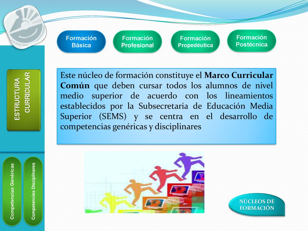 Formación Básica Formación Profesional. Formación Propedéutica. Formación Postécnica.