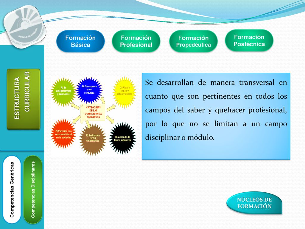 Formación Básica Formación Profesional. Formación Propedéutica. Formación Postécnica.