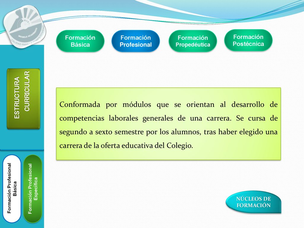 Formación Básica Formación Profesional. Formación Propedéutica. Formación Postécnica. ESTRUCTURA.