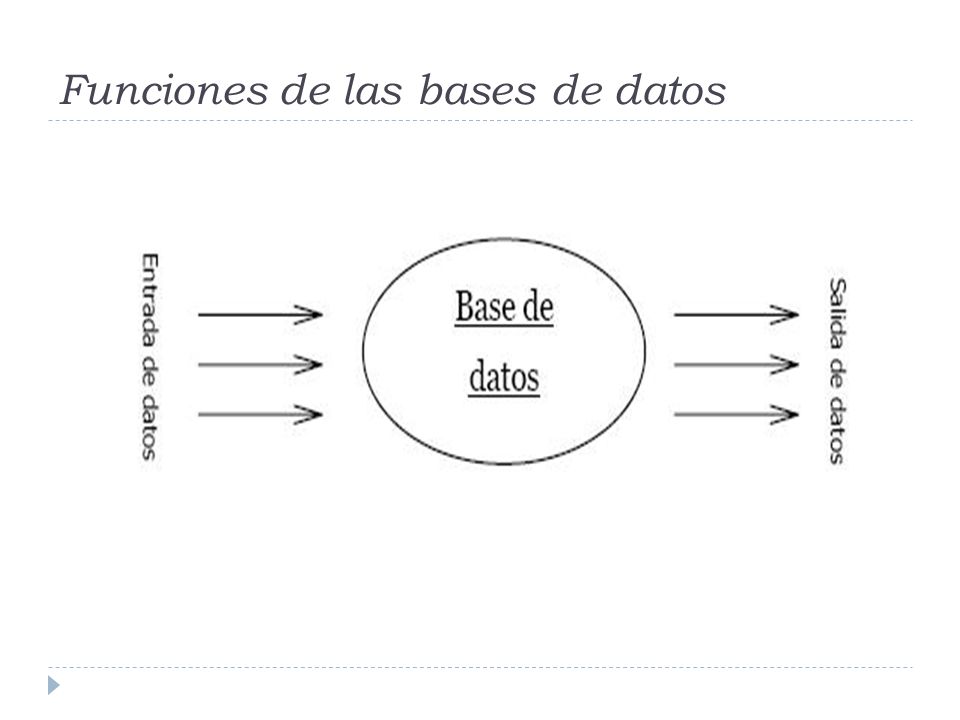 Funciones de las bases de datos