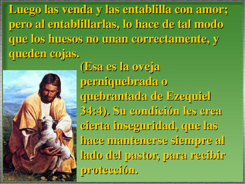 Luego las venda y las entablilla con amor; pero al entablillarlas, lo hace de tal modo que los huesos no unan correctamente, y queden cojas.