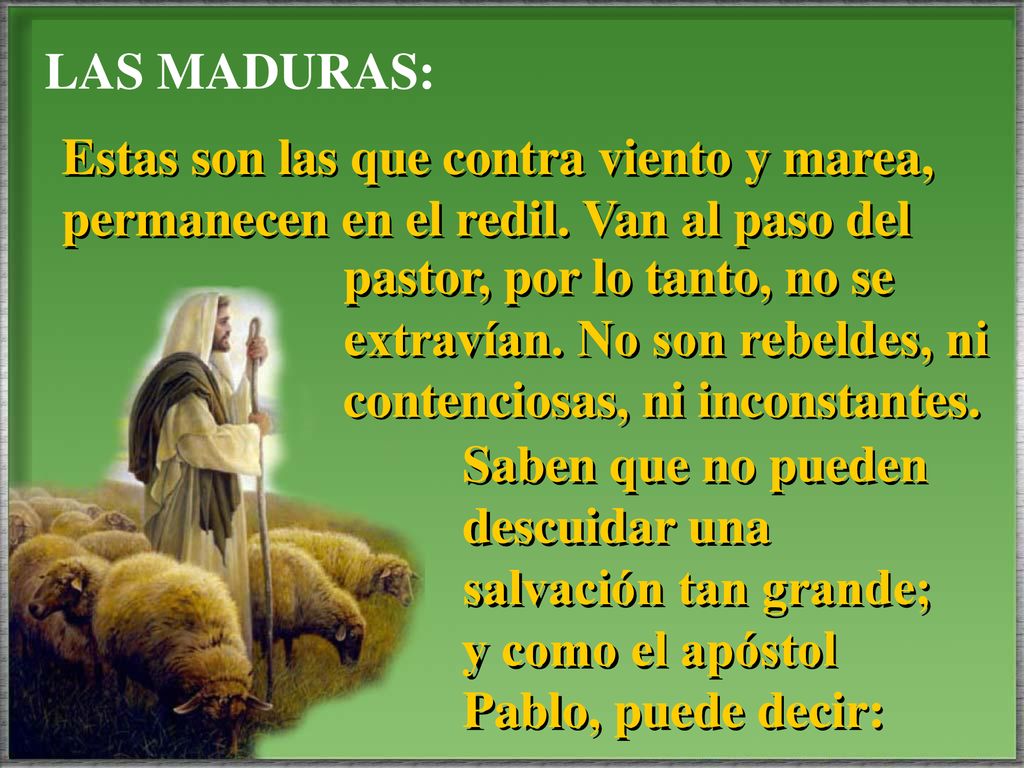 LAS MADURAS: Estas son las que contra viento y marea, permanecen en el redil. Van al paso del.