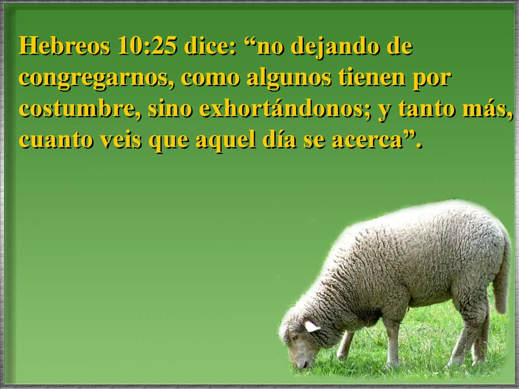 Hebreos 10:25 dice: no dejando de congregarnos, como algunos tienen por costumbre, sino exhortándonos; y tanto más, cuanto veis que aquel día se acerca .