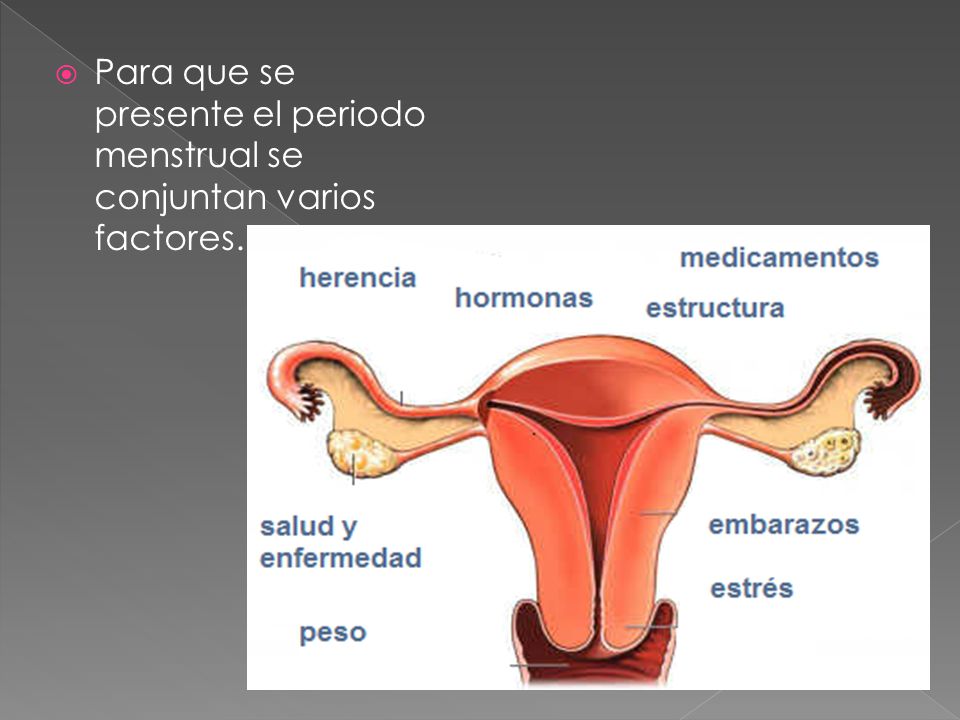 Para que se presente el periodo menstrual se conjuntan varios factores.