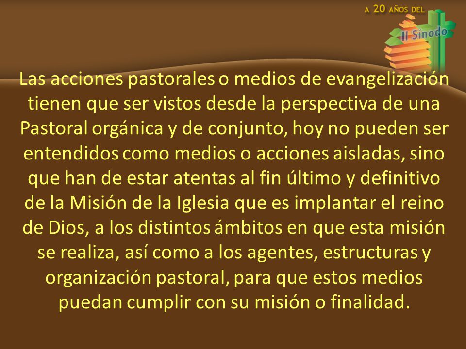 Las acciones pastorales o medios de evangelización tienen que ser vistos desde la perspectiva de una Pastoral orgánica y de conjunto, hoy no pueden ser entendidos como medios o acciones aisladas, sino que han de estar atentas al fin último y definitivo de la Misión de la Iglesia que es implantar el reino de Dios, a los distintos ámbitos en que esta misión se realiza, así como a los agentes, estructuras y organización pastoral, para que estos medios puedan cumplir con su misión o finalidad.