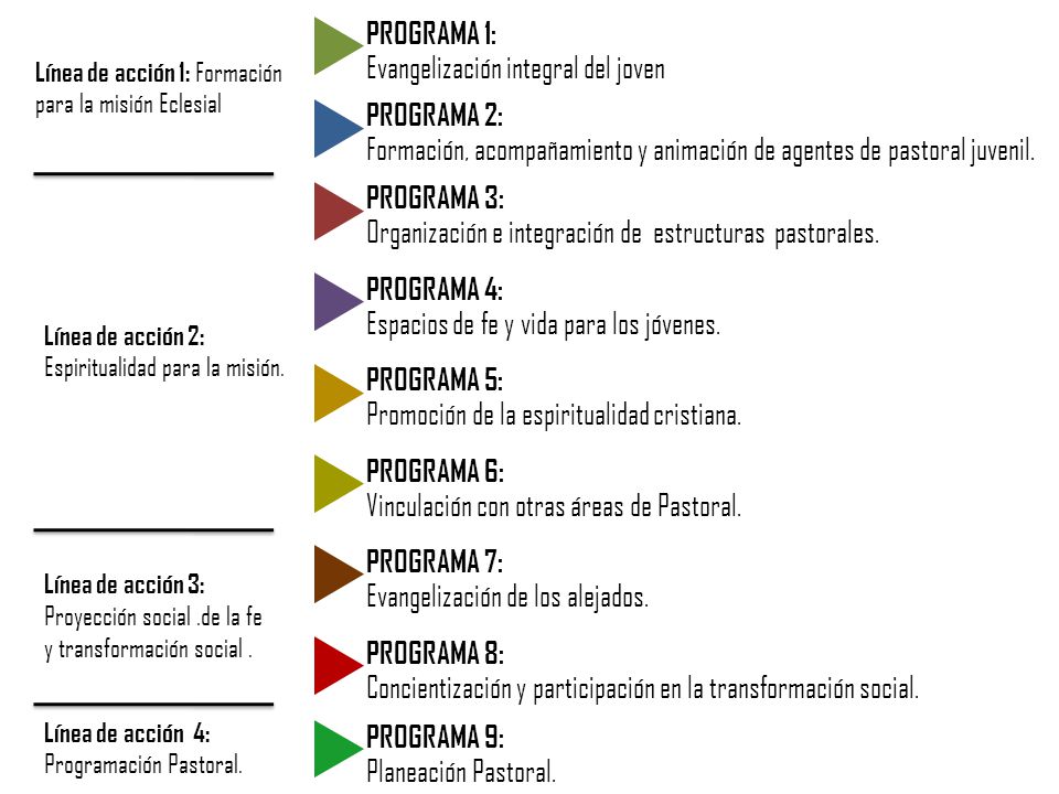 Evangelización integral del joven