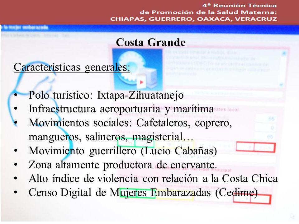 Costa Grande Características generales: Polo turístico: Ixtapa-Zihuatanejo. Infraestructura aeroportuaria y marítima.