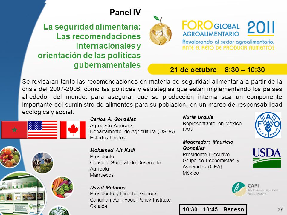 Panel IV La seguridad alimentaria: Las recomendaciones internacionales y orientación de las políticas gubernamentales.