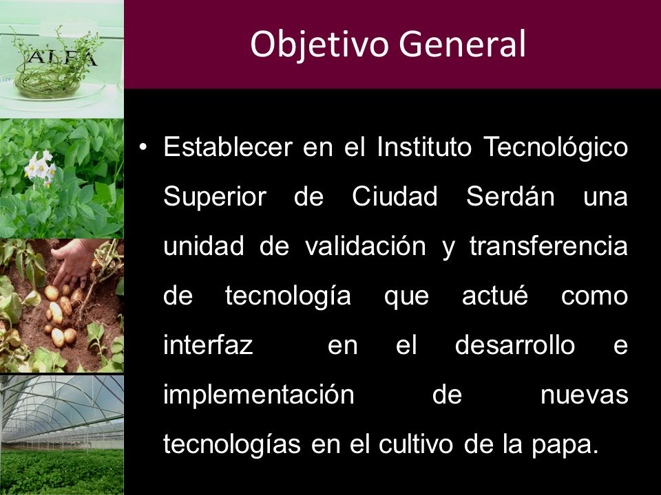 Objetivo General