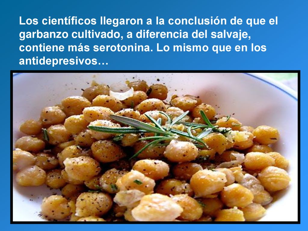 Los científicos llegaron a la conclusión de que el garbanzo cultivado, a diferencia del salvaje, contiene más serotonina.