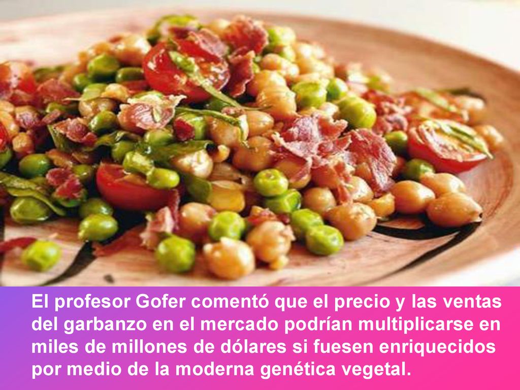 El profesor Gofer comentó que el precio y las ventas del garbanzo en el mercado podrían multiplicarse en miles de millones de dólares si fuesen enriquecidos por medio de la moderna genética vegetal.