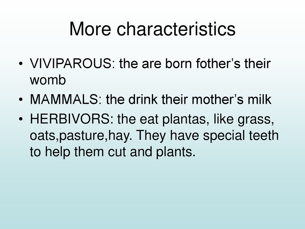 More characteristics VIVIPAROUS: the are born fother’s their womb