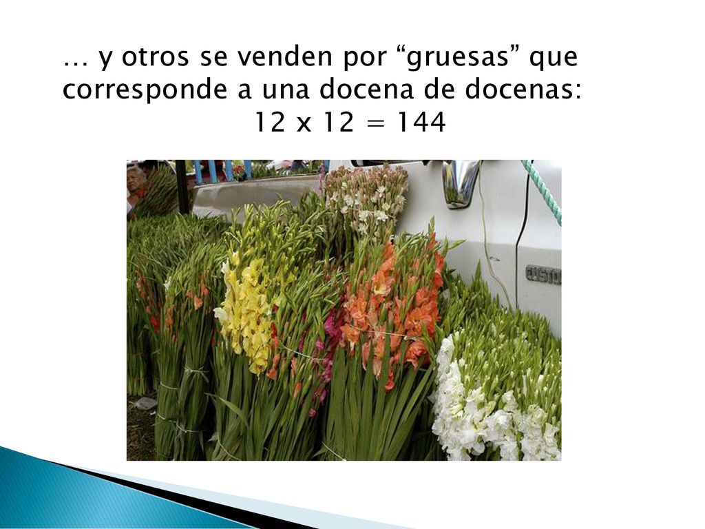 … y otros se venden por gruesas que corresponde a una docena de docenas: